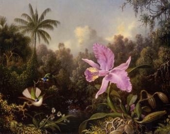Martin Johnson Heade : Orchid and Two Hummingbirds II